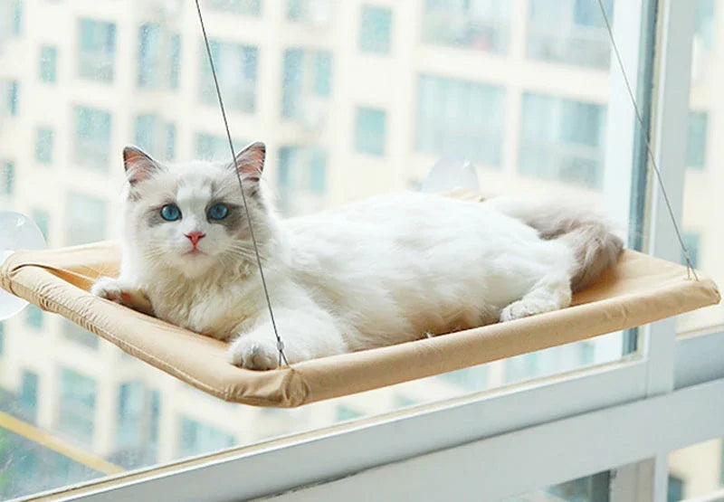 Sunny Siesta Cat Hammock: 20KG Window Seat for Comfortable Climbing